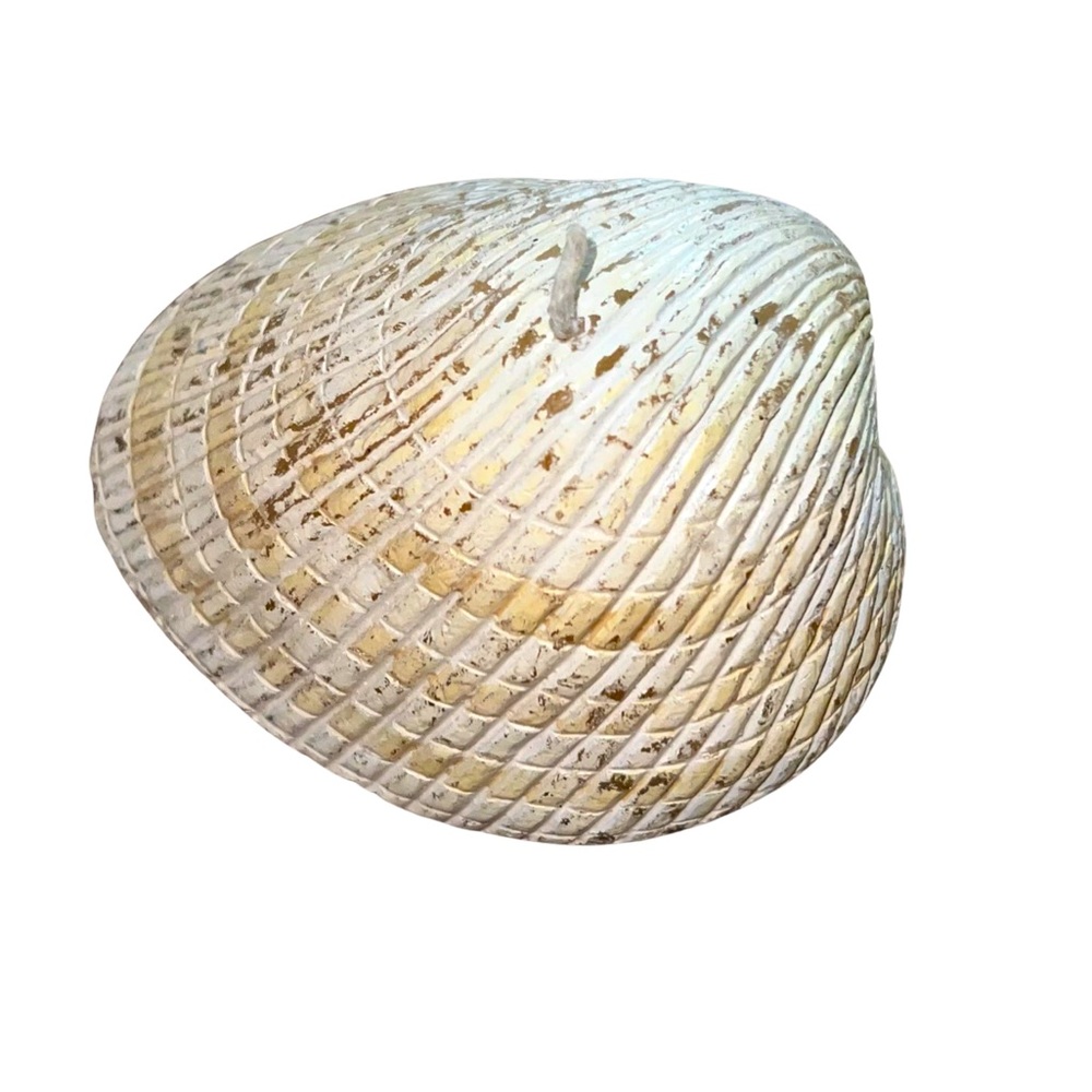 ✅ (GIFTED) Candle Seashell 🐚 from Cape Coral Florida